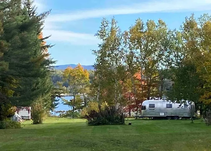 Birches And Blueberries With Beach Access